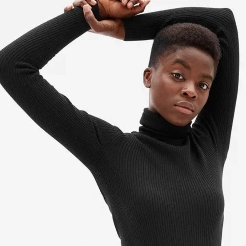 Everlane Ribbed Knit Turtleneck Sweater Wool Blend Black size large - Picture 1 of 12